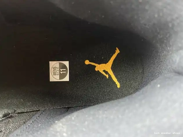 Reps LUCY Air Jordan 12 CT8013-071 Taxi Black 0517